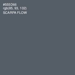 #555D66 - Scarpa Flow Color Image